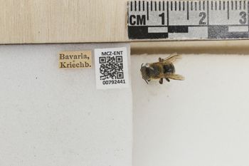 Media type: image;   Entomology 792441 Aspect: Labels